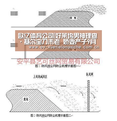 欧亿体育官网