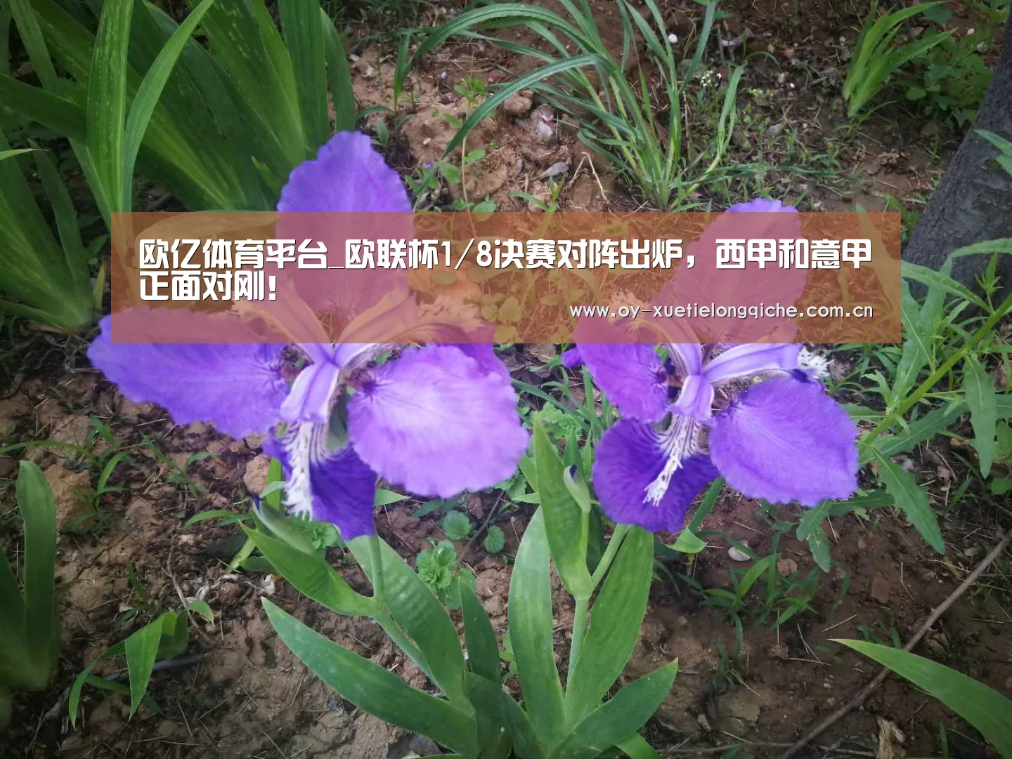 欧亿体育平台_欧联杯1/8决赛对阵出炉，西甲和意甲正面对刚！