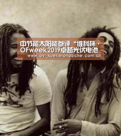 中节能太阳能参评“维科杯·OFweek2019卓越光伏电池/组件产品奖”‘欧亿体育’