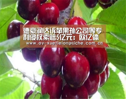 德豪润达诉苹果孙公司等专利侵权索赔5亿元:欧亿体育(图4) 欧亿体育公司