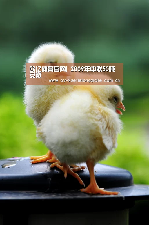 欧亿体育公司